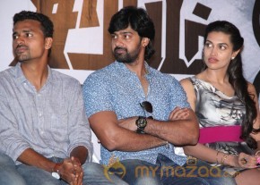 Sarabham Movie Pressmeet Photos photo 6