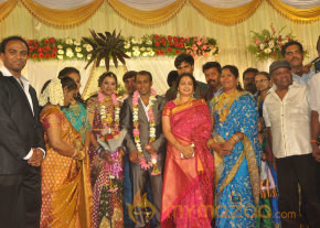 Senthil Son Wedding Reception Gallery  photo 3