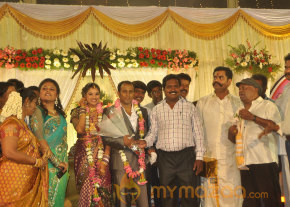 Senthil Son Wedding Reception Gallery  photo 34