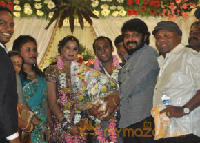 Senthil Son Wedding Reception Gallery 