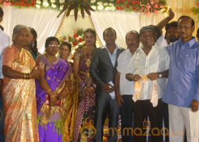 Senthil Son Wedding Reception Gallery  photo 21