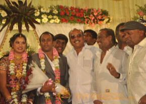 Senthil Son Wedding Reception Gallery  photo 57