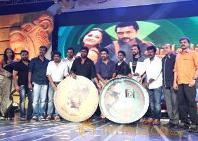 Singam 2 Movie Music Launch Gallery  photo 19