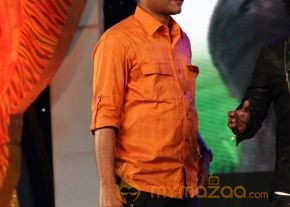 Singam 2 Movie Music Launch Gallery  photo 32