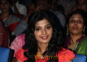 Singam 2 Movie Music Launch Gallery  photo 60