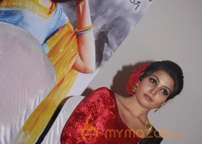Sivappu Enakku Pikkum Movie Press Meet Stills photo 9