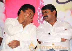 Snehavin Kadhalargal Audio Launch Stills photo 85
