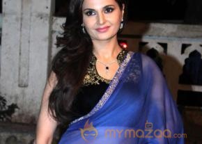 Stars at Hira Mmnik Awards 2013 Gallery photo 15
