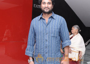 Stars At Vishwaroopam Movie Premiere Show photo 12