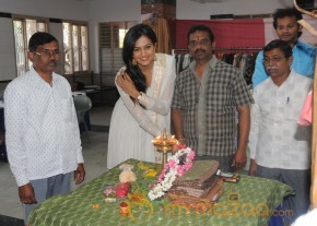 Subhra Ayyappa At Pochampally ikatart mela photo 19