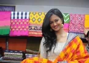 Subhra Ayyappa At Pochampally ikatart mela photo 2