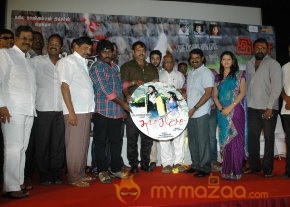 Swasame Movie Audio Launch photo 41