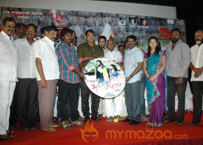 Swasame Movie Audio Launch photo 33