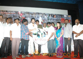 Swasame Movie Audio Launch photo 39