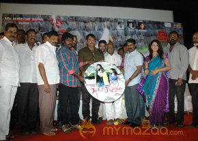 Swasame Movie Audio Launch photo 22