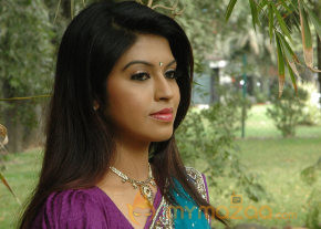 Swasame Movie Audio Launch photo 43