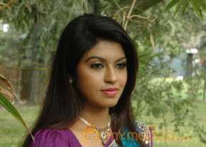 Swasame Movie Audio Launch photo 19