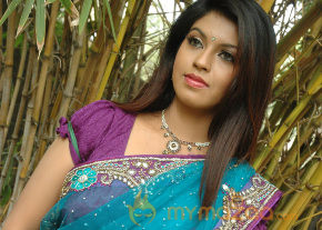 Swasame Movie Audio Launch photo 42