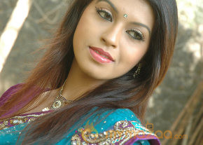 Swasame Movie Audio Launch photo 29