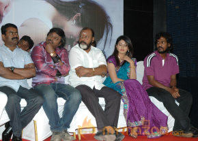Swasame Movie Audio Launch photo 15
