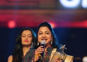 Tamil and Malayalam Film Industry SIIMA 2016 Awards Function Stills Day 2 photo 19