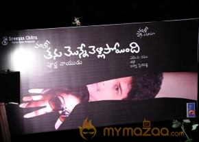 TanuMonne Vellipoyindi Audio Launch Photos photo 79