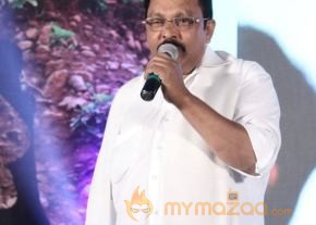 TanuMonne Vellipoyindi Audio Launch Photos photo 145