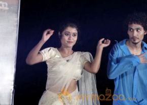TanuMonne Vellipoyindi Audio Launch Photos photo 32