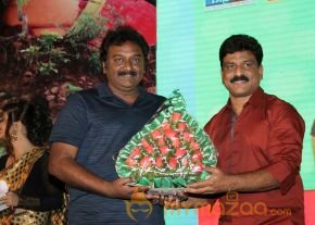 TanuMonne Vellipoyindi Audio Launch Photos photo 10