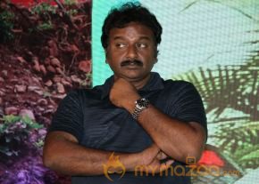TanuMonne Vellipoyindi Audio Launch Photos photo 131