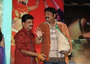 TanuMonne Vellipoyindi Audio Launch Photos photo 137