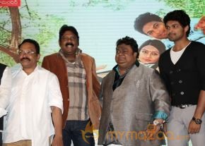 TanuMonne Vellipoyindi Audio Launch Photos photo 48