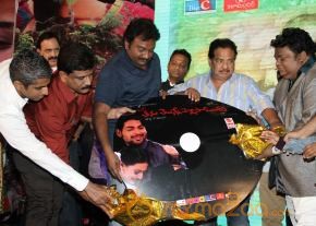 TanuMonne Vellipoyindi Audio Launch Photos photo 98