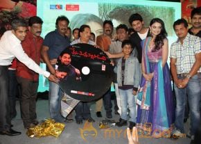 TanuMonne Vellipoyindi Audio Launch Photos photo 95
