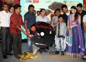 TanuMonne Vellipoyindi Audio Launch Photos photo 149