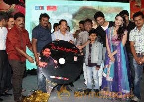 TanuMonne Vellipoyindi Audio Launch Photos photo 132