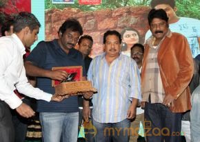 TanuMonne Vellipoyindi Audio Launch Photos photo 12