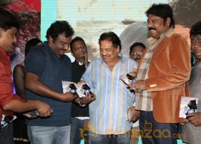 TanuMonne Vellipoyindi Audio Launch Photos photo 107