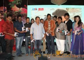 TanuMonne Vellipoyindi Audio Launch Photos photo 26