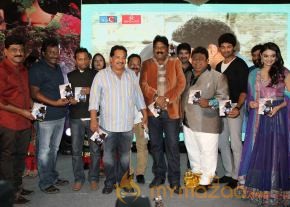 TanuMonne Vellipoyindi Audio Launch Photos photo 88