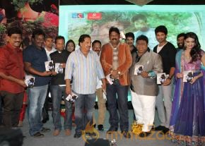 TanuMonne Vellipoyindi Audio Launch Photos photo 102