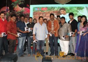 TanuMonne Vellipoyindi Audio Launch Photos photo 19