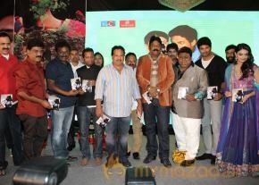 TanuMonne Vellipoyindi Audio Launch Photos photo 66