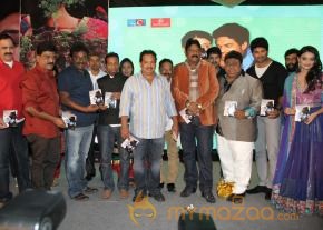 TanuMonne Vellipoyindi Audio Launch Photos photo 46