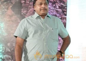 TanuMonne Vellipoyindi Audio Launch Photos photo 59