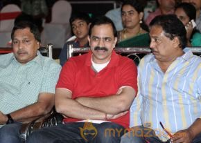 TanuMonne Vellipoyindi Audio Launch Photos photo 7