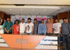 Teeyani Kalavo movie Success Meet photos photo 9