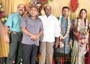 Thambi Ramaiah Daughter Wedding Reception Gallery  photo 13