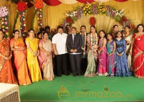 Thambi Ramaiah Daughter Wedding Reception Gallery  photo 53