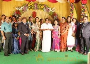 Thambi Ramaiah Daughter Wedding Reception Gallery  photo 3